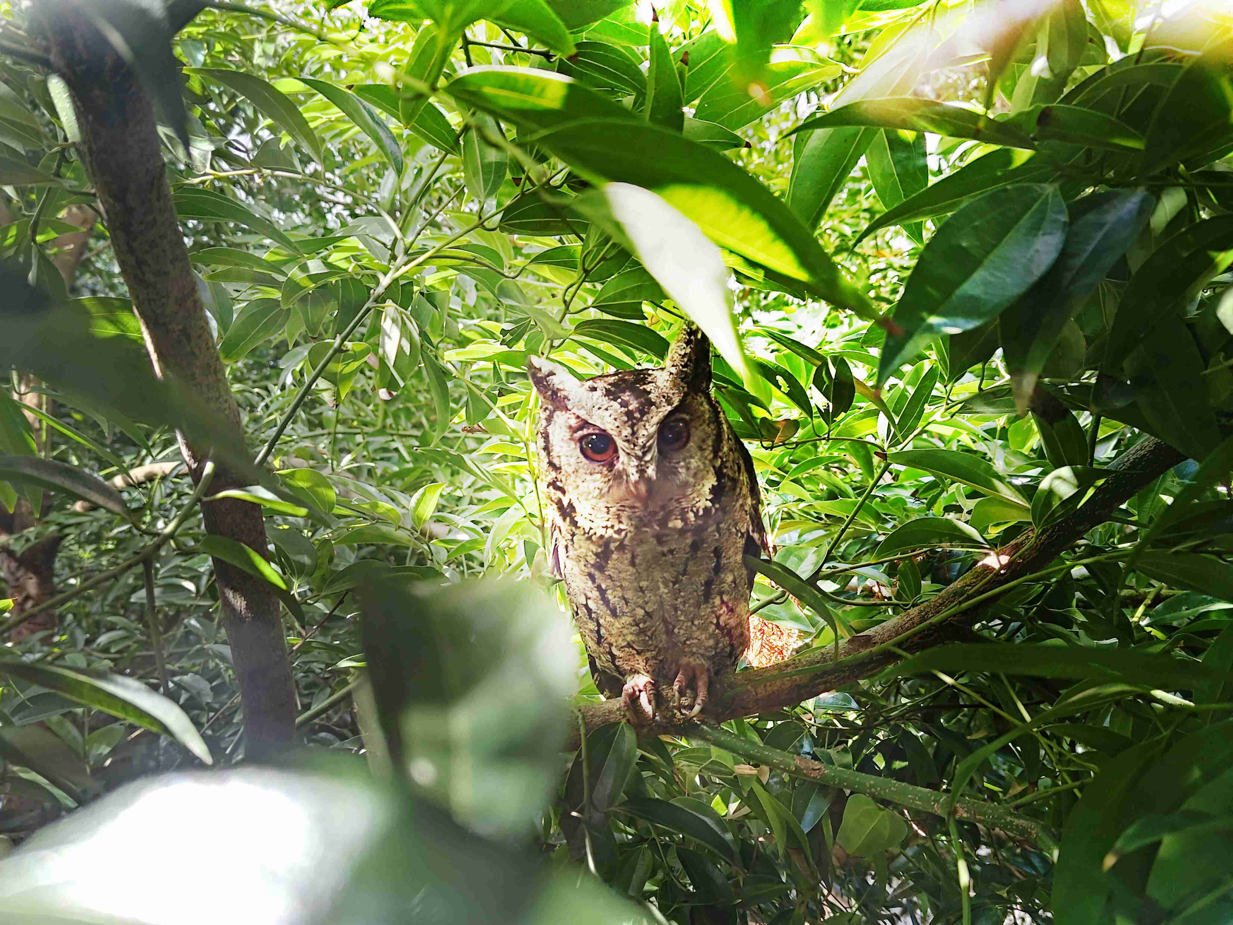 2468BET致力提倡净零绿生活，，，，16年以来在全球各厂区植树逾百万棵，，，，造就各厂区树木蔚然成林，，，，犹如森林工厂，，，成为许多生物的栖息地